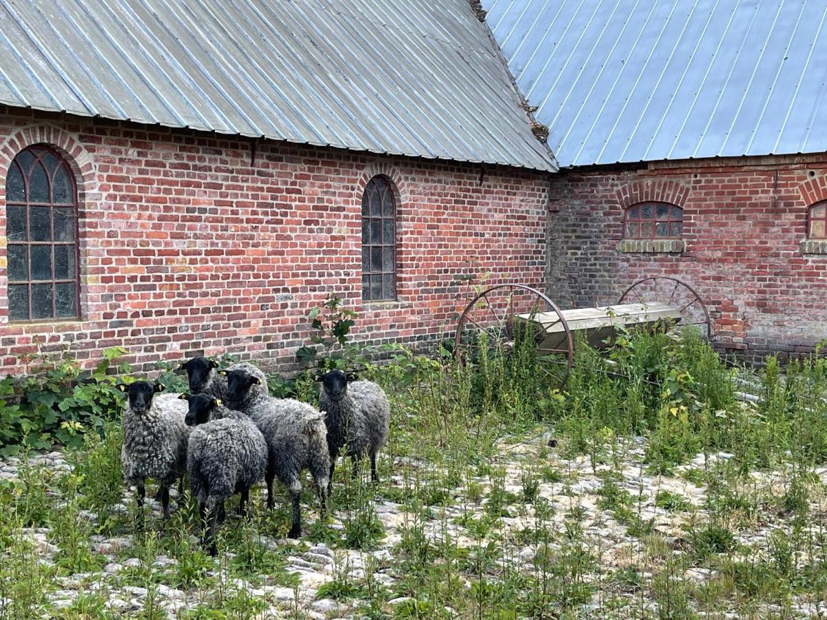 Store Stensig Frederikshavn Exterior foto